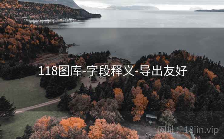 118图库-字段释义-导出友好